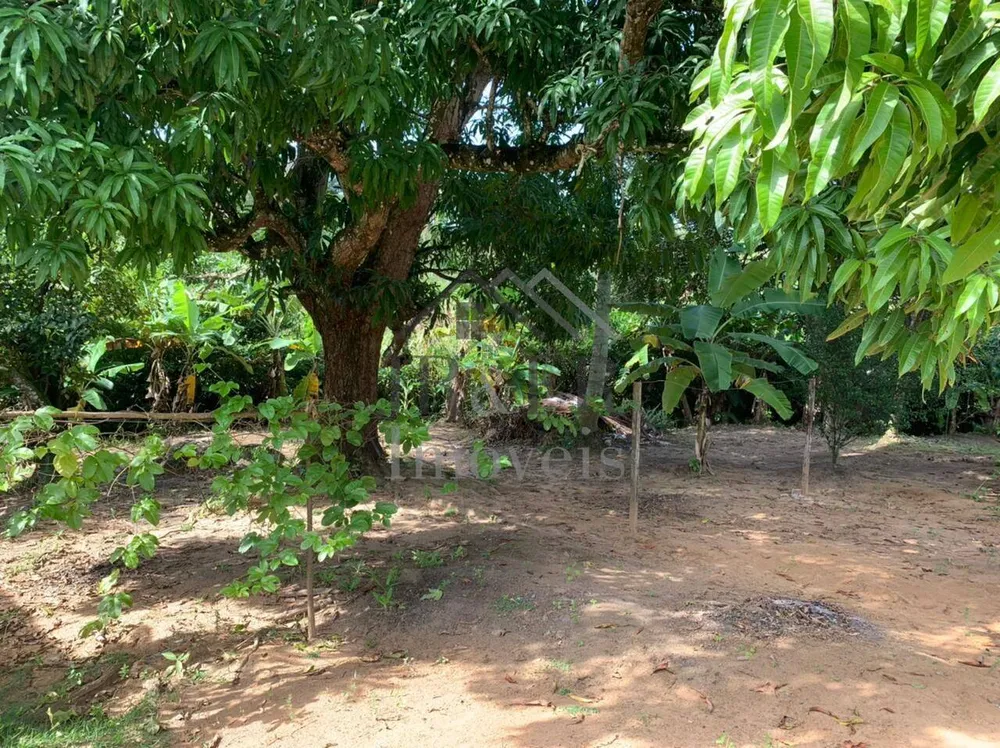 Sítio, 3 quartos, 3 hectares - Foto 3