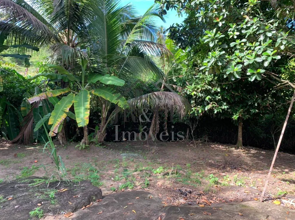 Sítio, 3 quartos, 3 hectares - Foto 11
