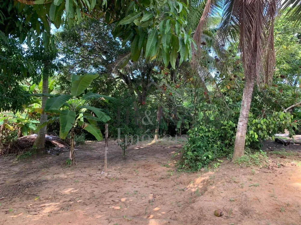 Sítio, 3 quartos, 3 hectares - Foto 19