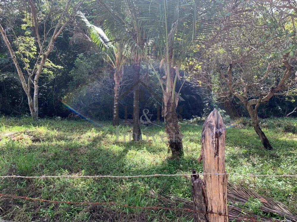 Sítio, 3 quartos, 3 hectares - Foto 8