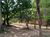 Sítio, 3 quartos, 3 hectares - Foto 3