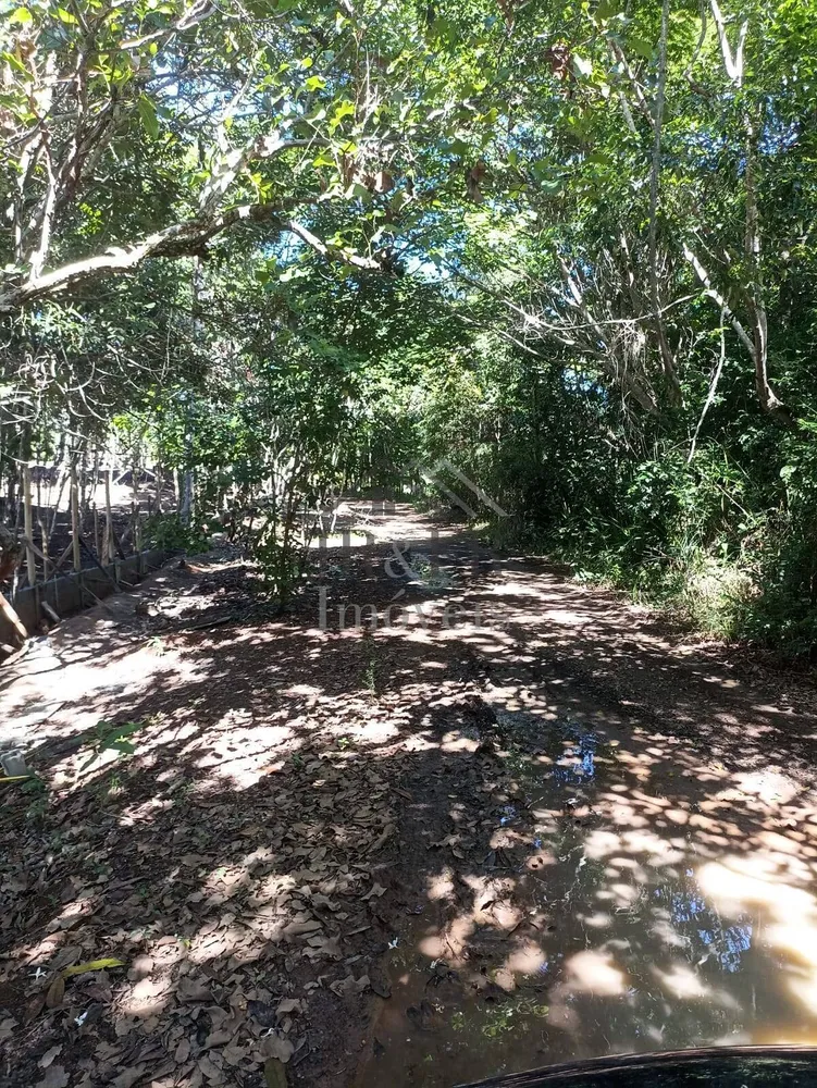 Terreno, 2442 m² - Foto 5