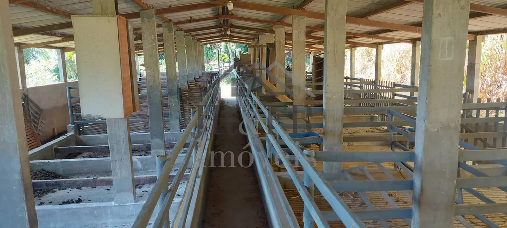 Sítio, 5 quartos, 6 hectares - Foto 1