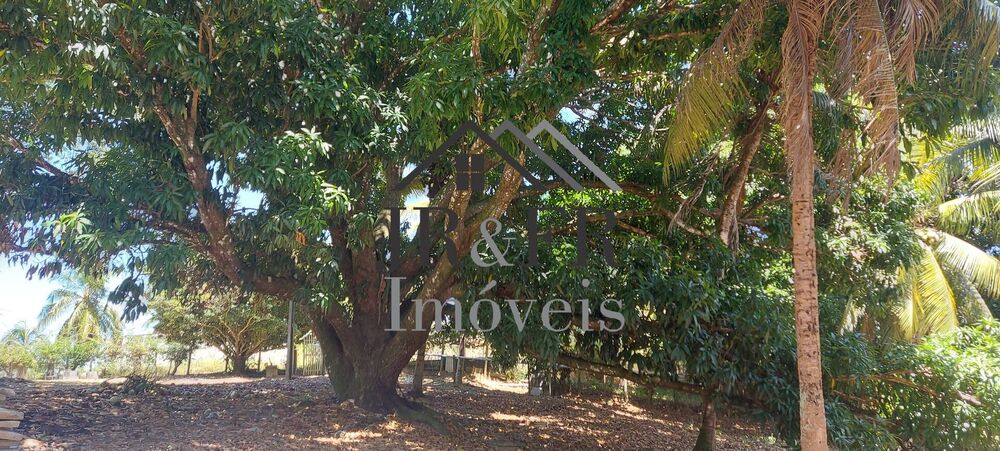 Sítio, 5 quartos, 6 hectares - Foto 2