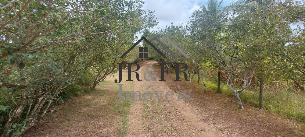 Sítio, 5 quartos, 6 hectares - Foto 1