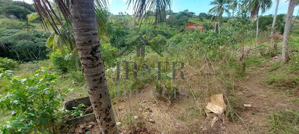 Sítio, 5 quartos, 6 hectares - Foto 15