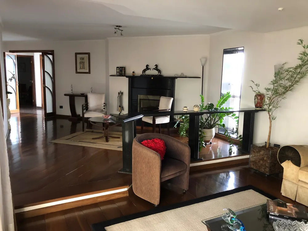 Apartamento, 3 quartos, 254 m² - Foto 3