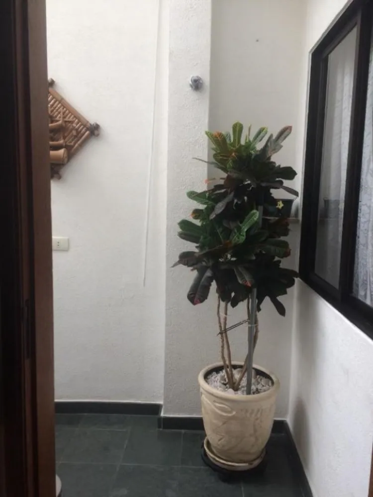 Casa, 3 quartos, 140 m² - Foto 5