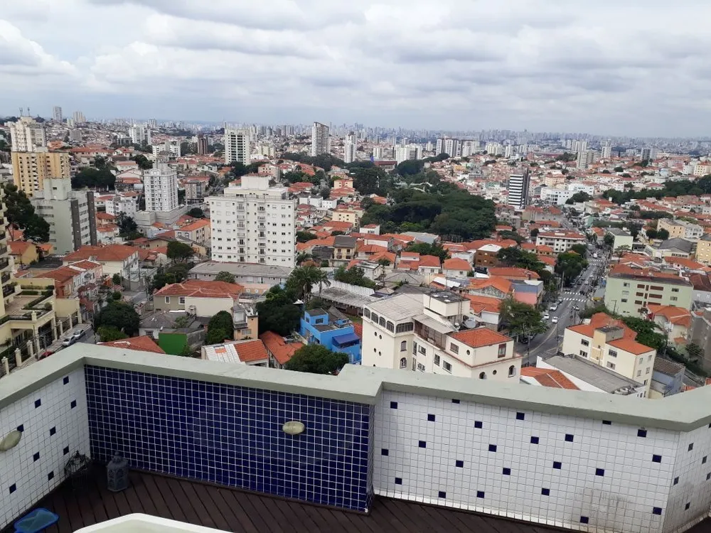 Cobertura, 3 quartos, 338 m² - Foto 6