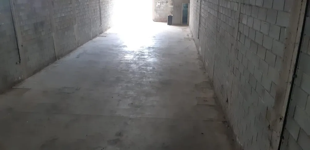 Loja-Salão, 320 m² - Foto 8