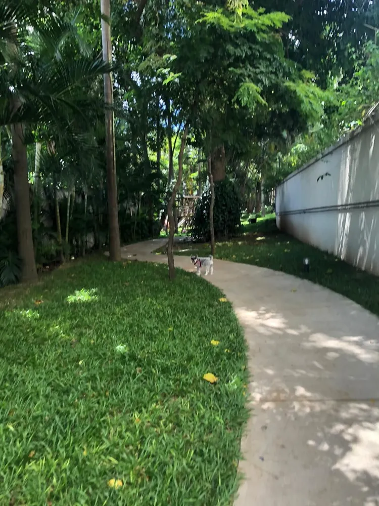 Apartamento, 3 quartos, 189 m² - Foto 3