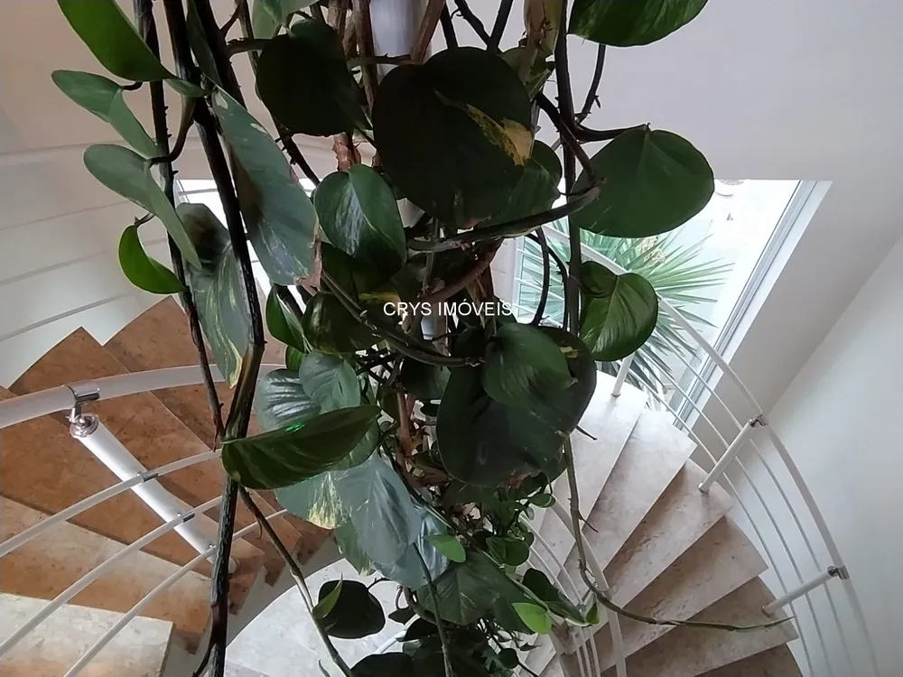 Casa, 4 quartos, 467 m² - Foto 1
