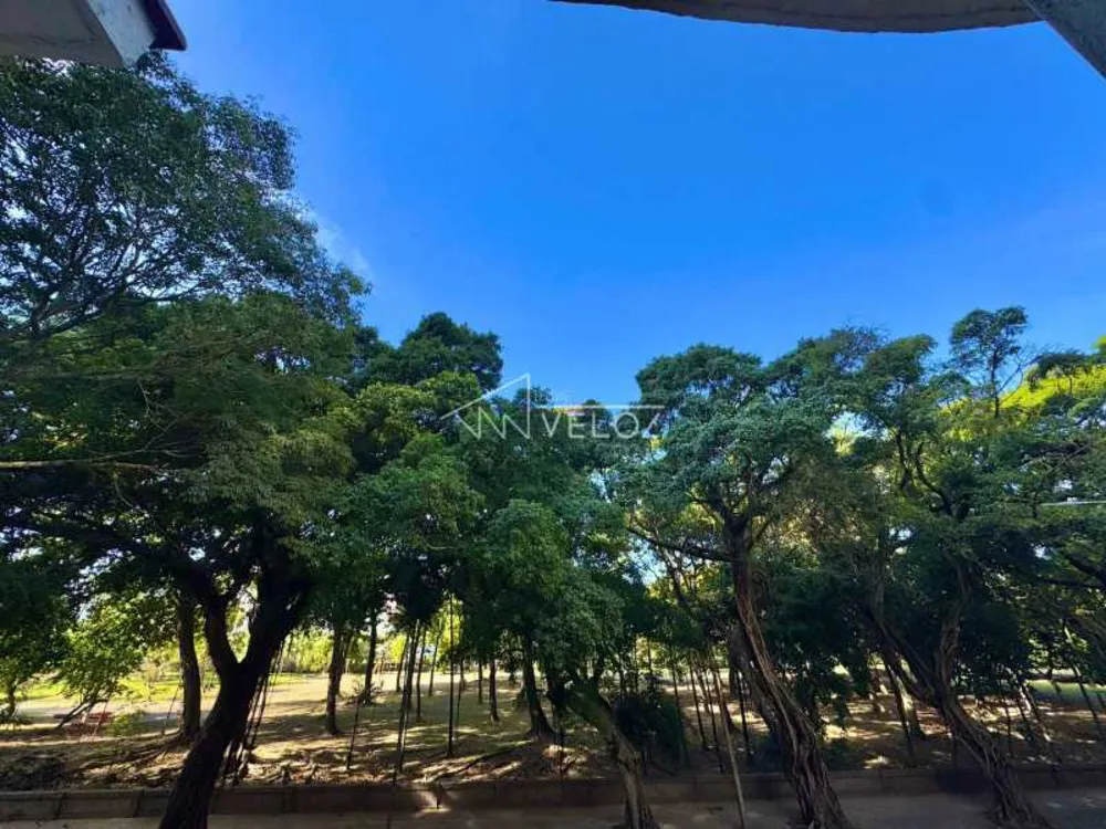 Apartamento, 4 quartos, 253 m² - Foto 11