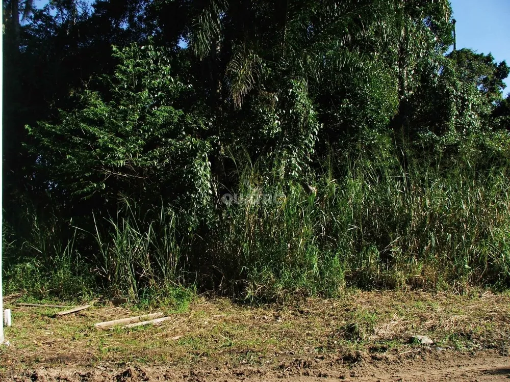 Terreno, 300 m² - Foto 2