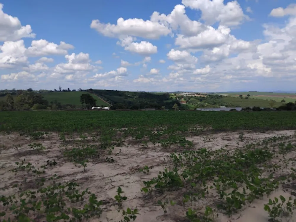 Terreno, 35 hectares - Foto 1