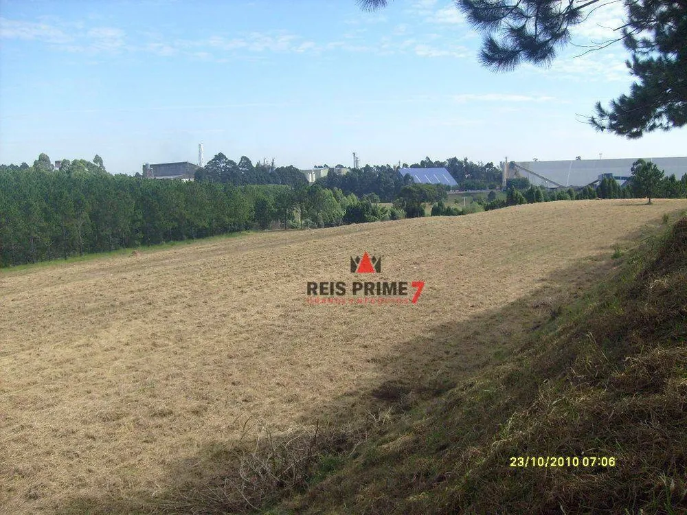 Terreno, 10 hectares - Foto 3