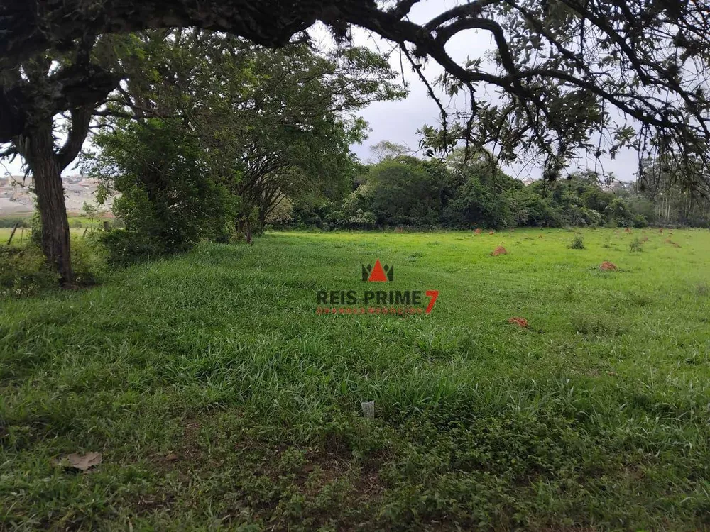 Terreno, 10 hectares - Foto 6