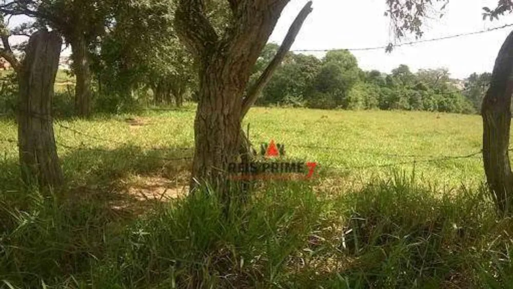 Terreno, 10 hectares - Foto 8