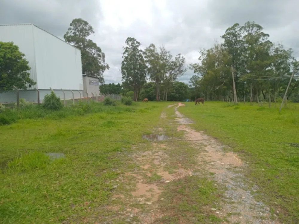 Terreno, 4 hectares - Foto 7