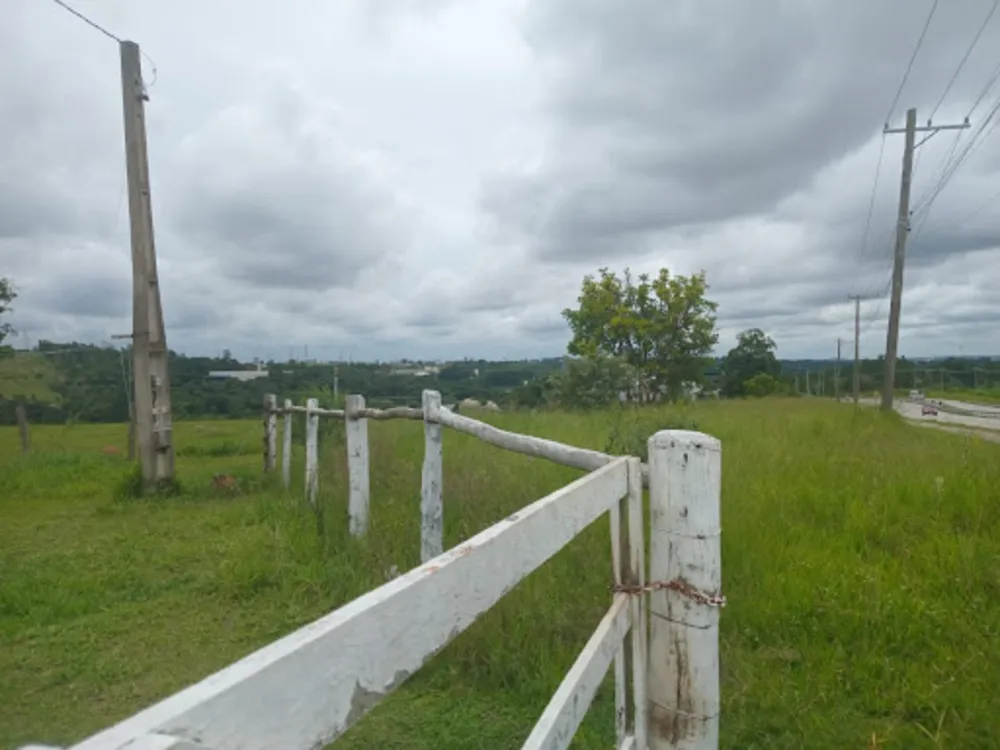 Terreno, 4 hectares - Foto 3
