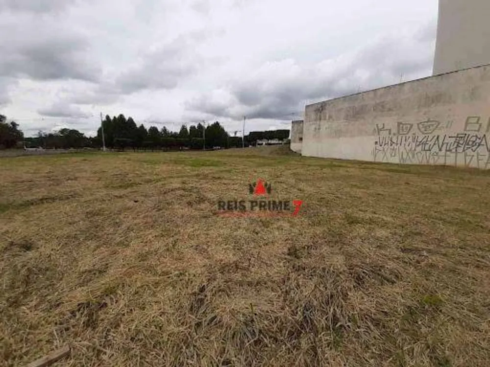 Terreno, 2578 m² - Foto 5