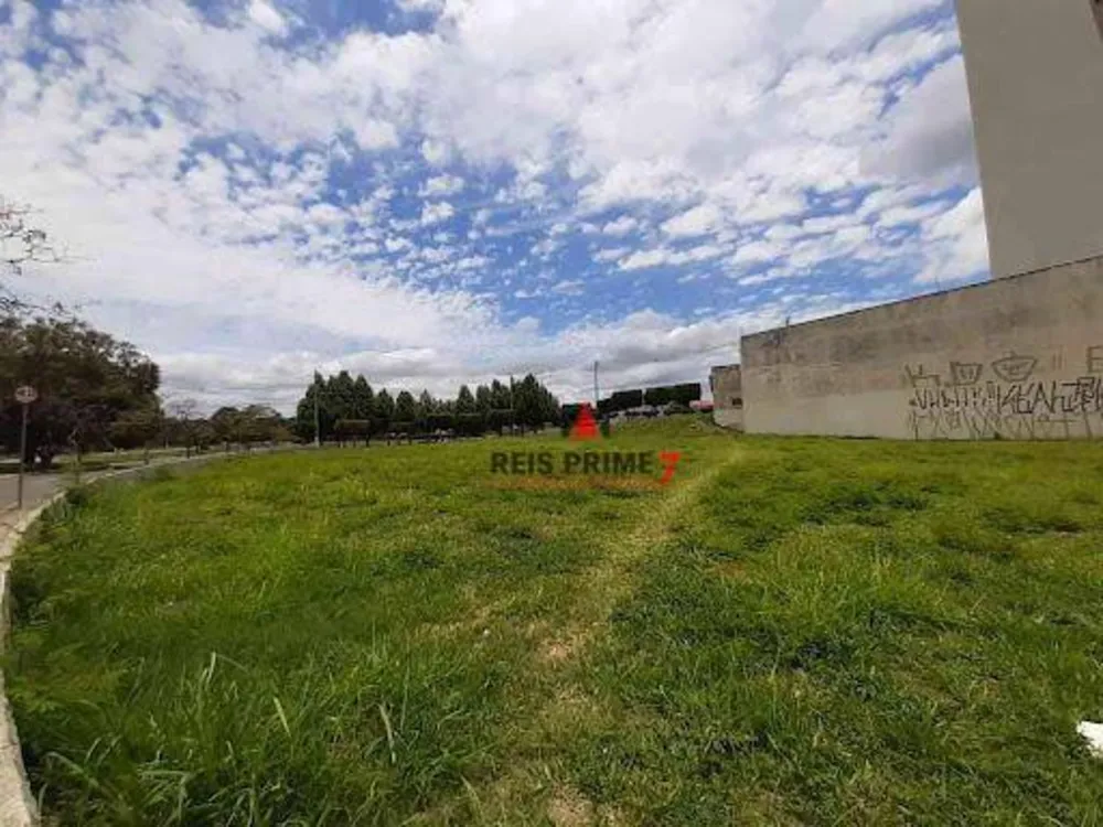 Terreno, 2578 m² - Foto 4