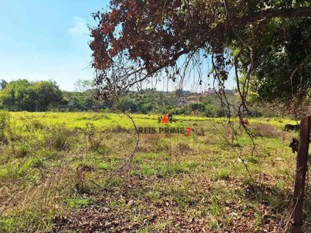 Terreno, 2 hectares - Foto 6