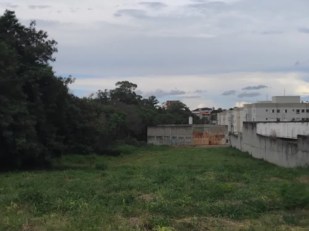 Terreno, 4202 m² - Foto 4