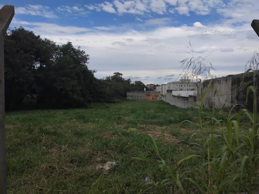 Terreno, 4202 m² - Foto 6