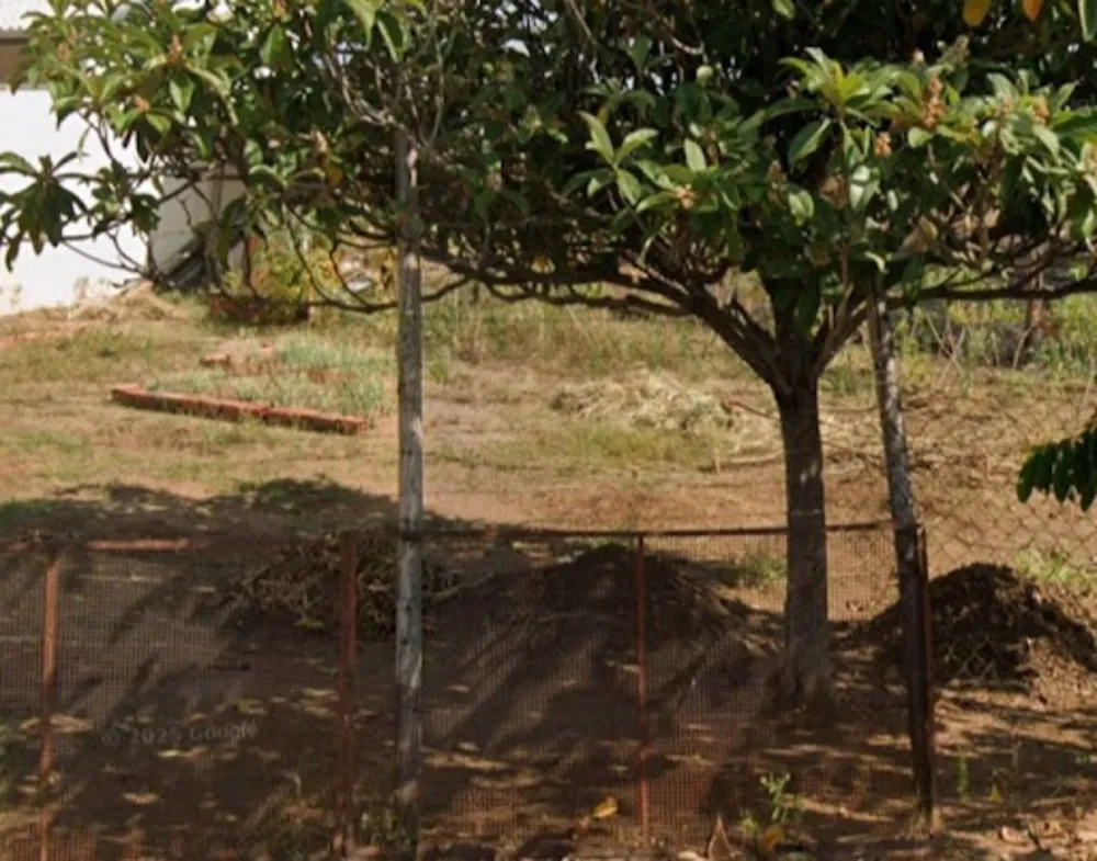 Terreno, 2 hectares - Foto 4