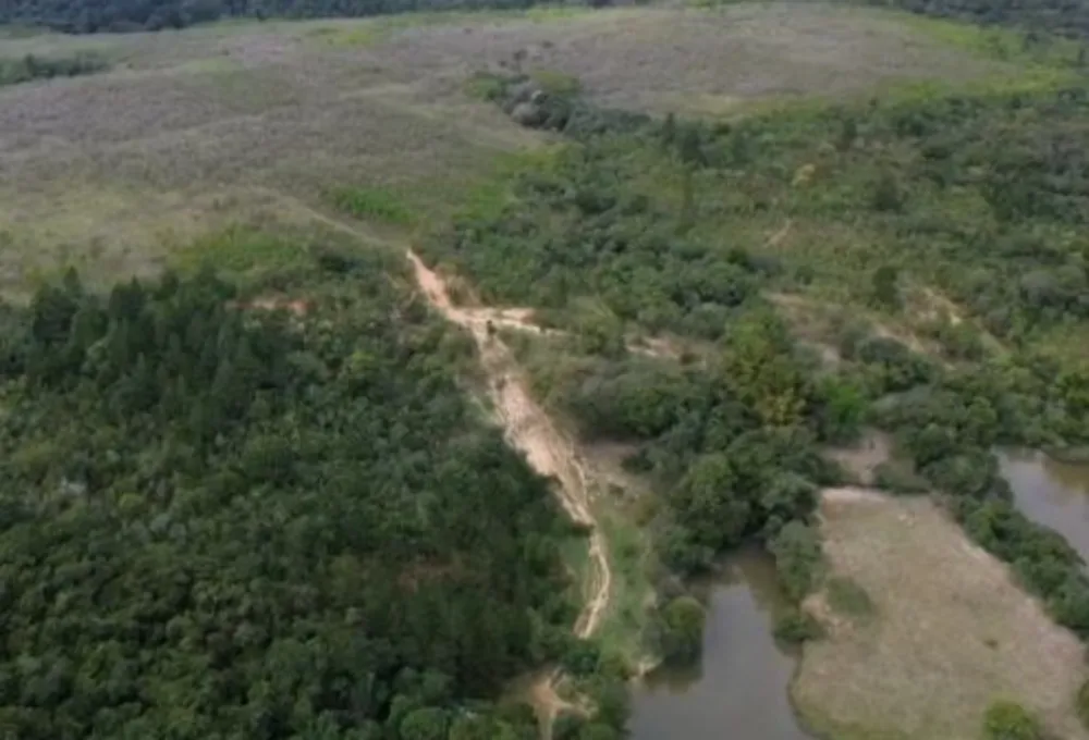 Terreno, 135 hectares - Foto 3