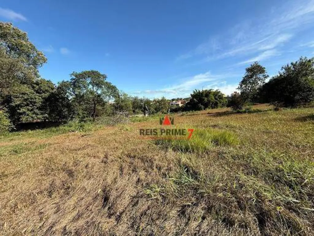 Terreno, 9 hectares - Foto 6