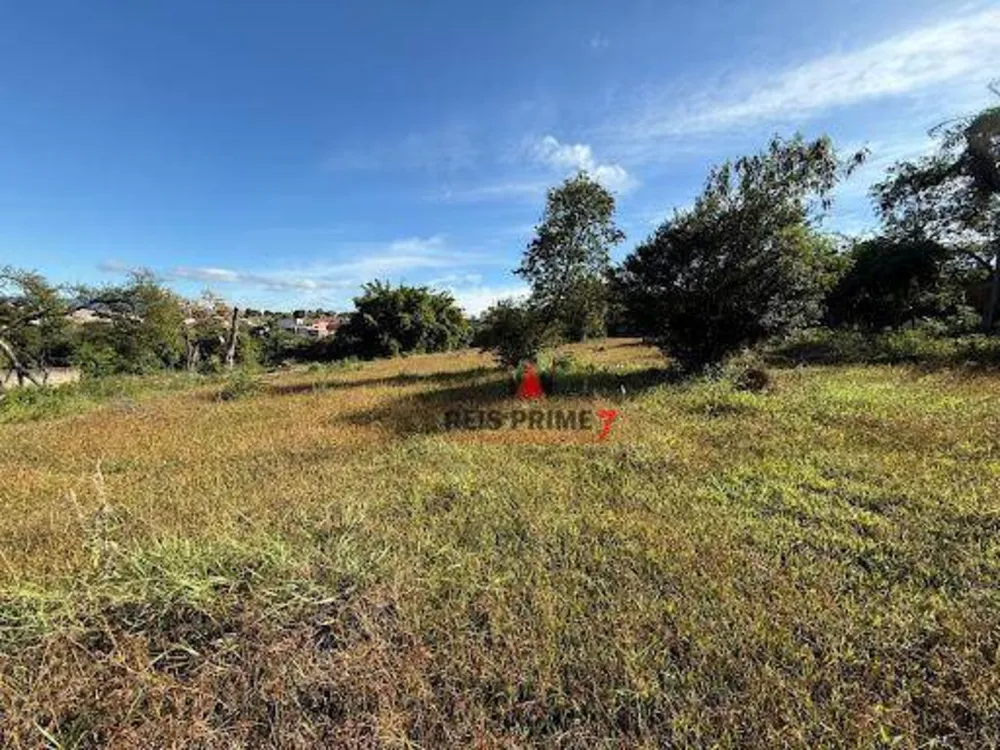 Terreno, 9 hectares - Foto 4