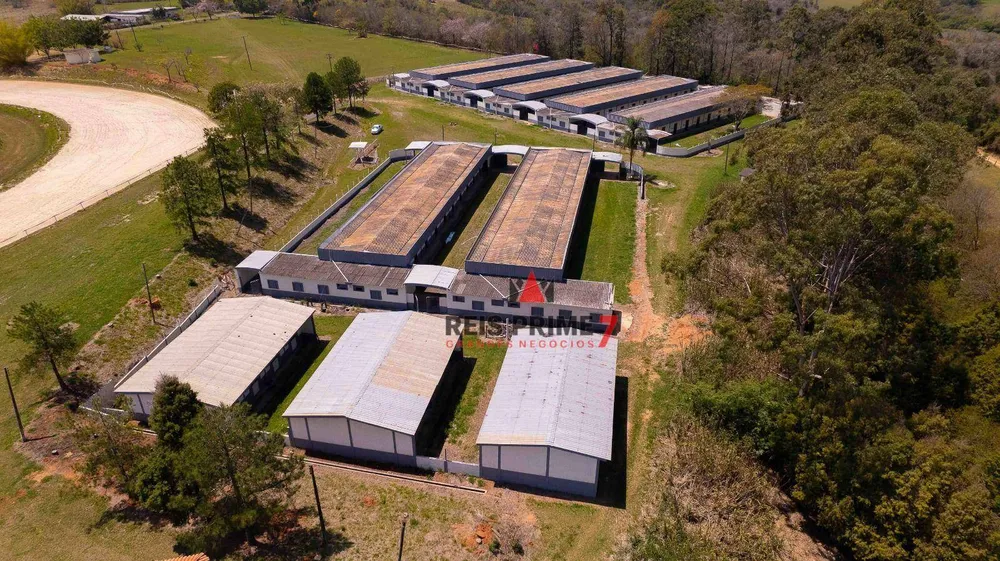 Terreno, 52 hectares - Foto 6