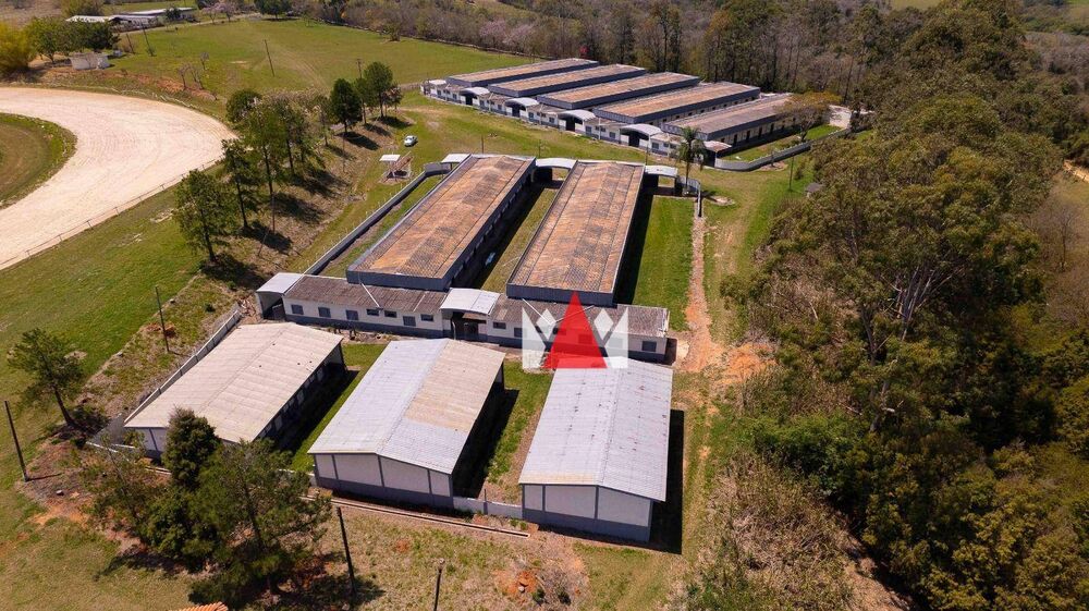 Terreno, 52 hectares - Foto 10