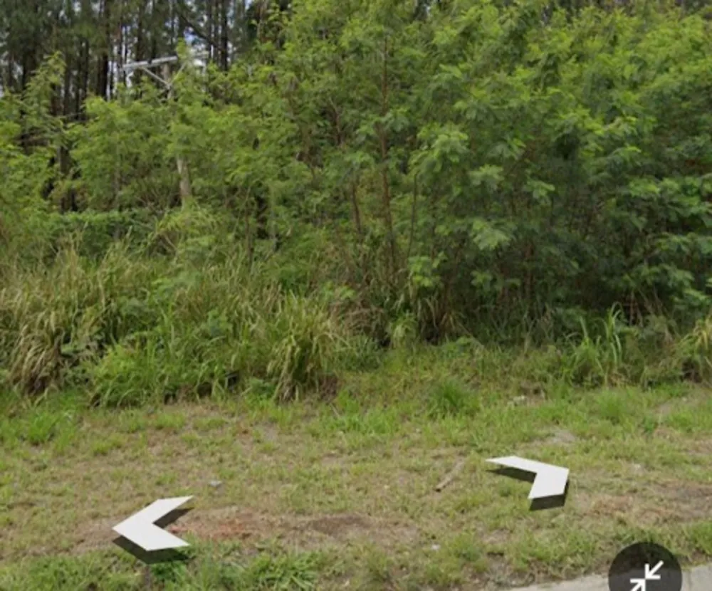 Terreno, 14 hectares - Foto 4