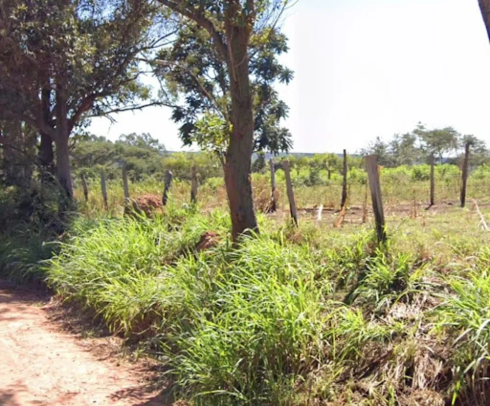 Terreno, 15 hectares - Foto 4