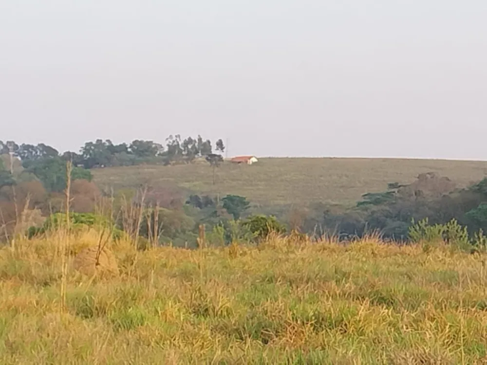 Terreno, 15 hectares - Foto 3