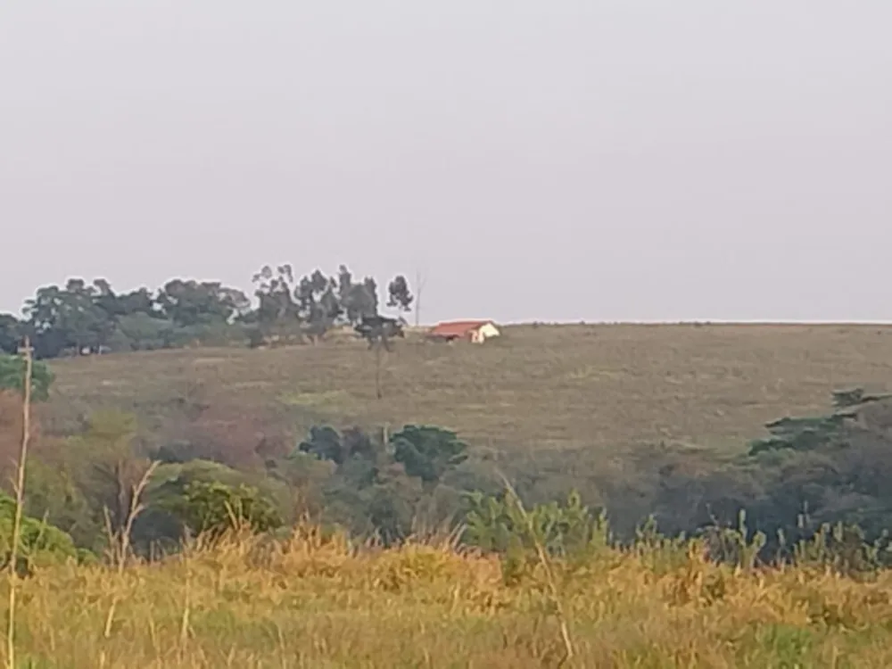 Terreno, 15 hectares - Foto 7