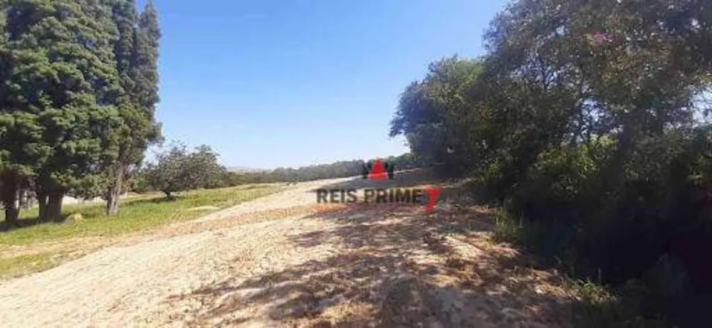 Terreno, 10 hectares - Foto 7