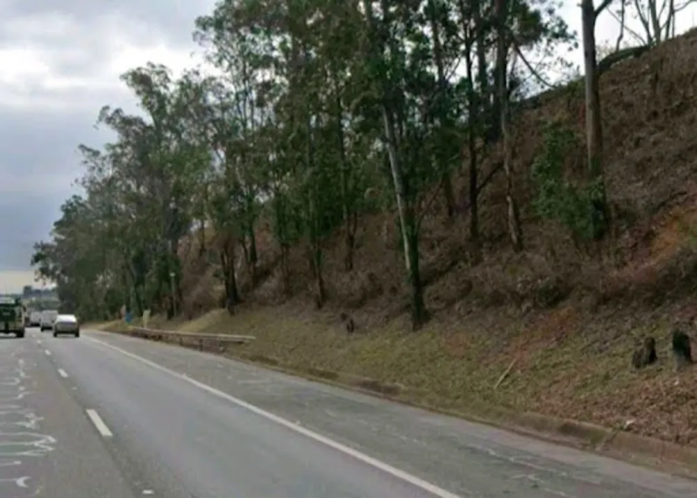 Terreno, 59 hectares - Foto 7