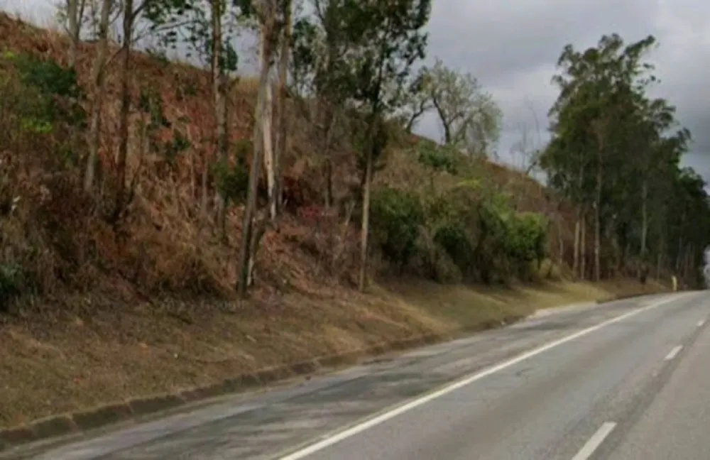 Terreno, 59 hectares - Foto 6