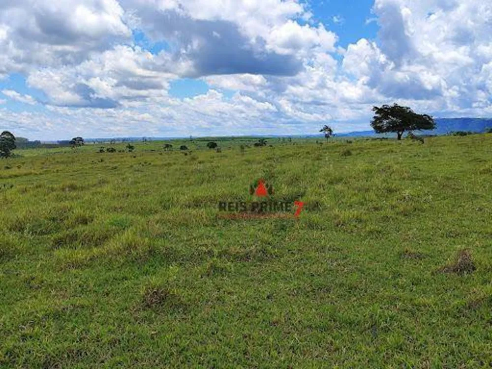 Terreno, 149 hectares - Foto 3