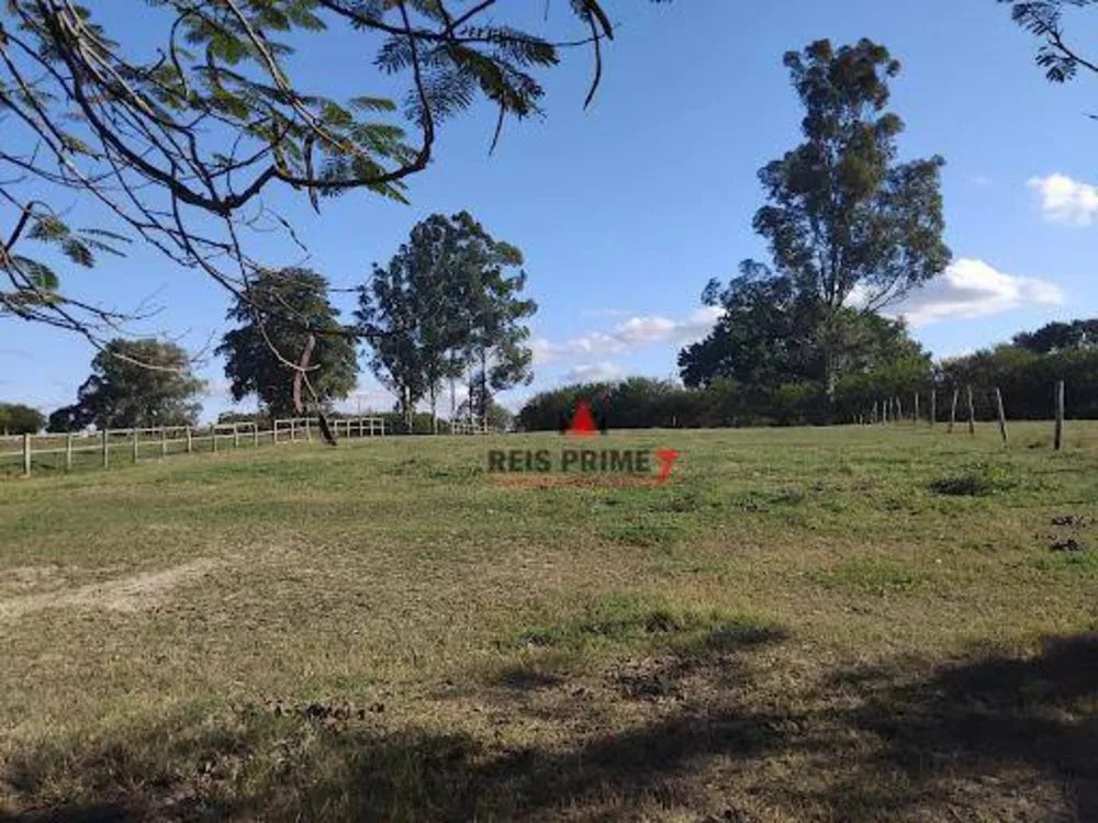 Terreno, 149 hectares - Foto 2