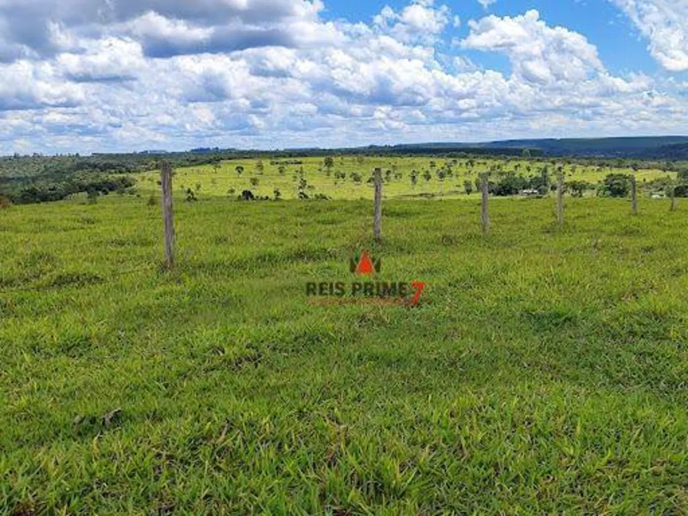 Terreno, 149 hectares - Foto 4