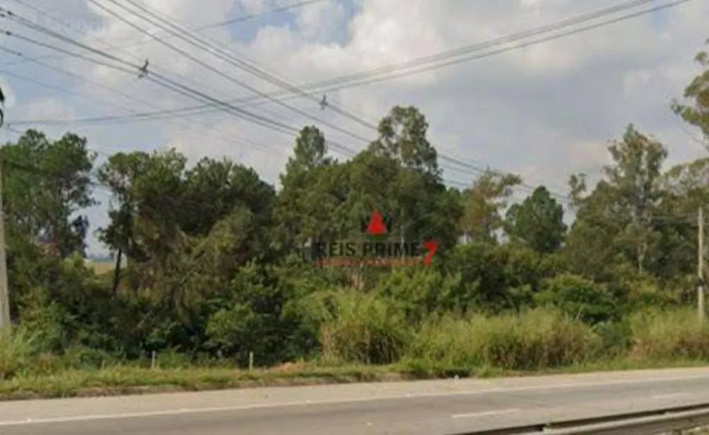 Terreno, 3 hectares - Foto 4