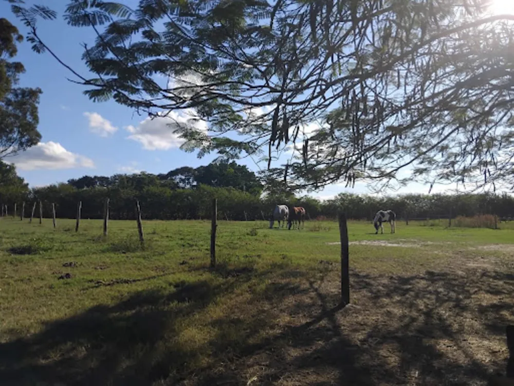 Terreno, 27 hectares - Foto 12
