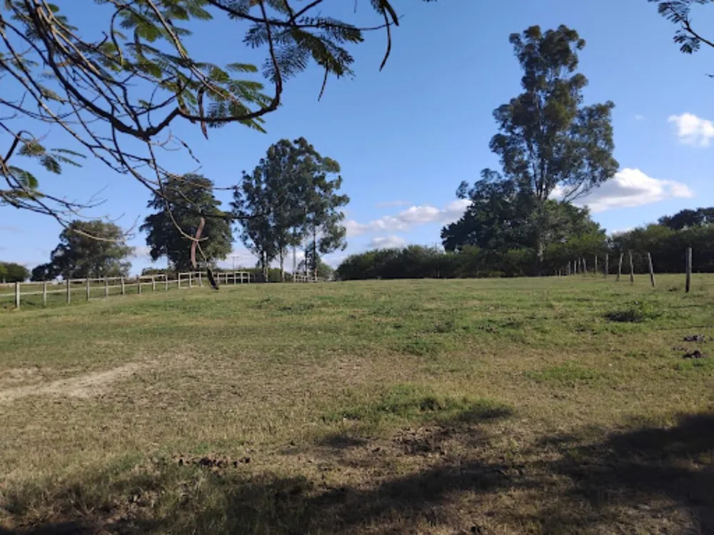 Terreno, 27 hectares - Foto 9