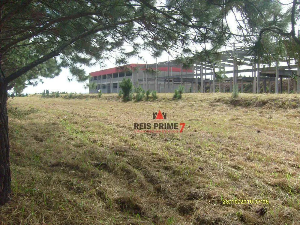 Terreno, 17 hectares - Foto 13