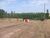 Terreno, 17 hectares - Foto 6